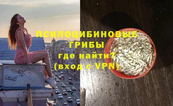 гашик Алексеевка
