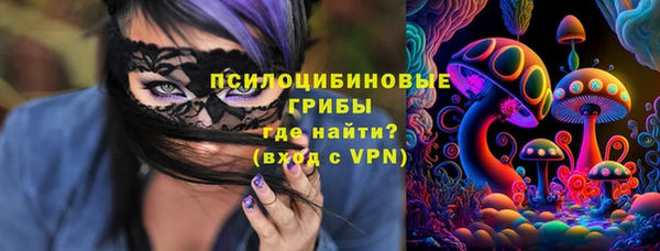 гашик Алексеевка