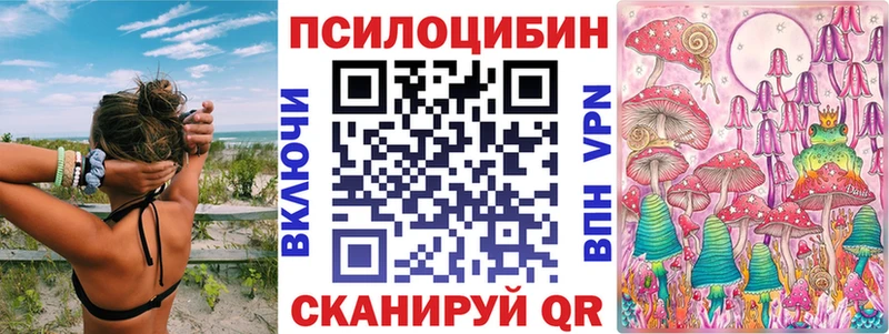 сколько стоит  Кизилюрт  Псилоцибиновые грибы GOLDEN TEACHER 